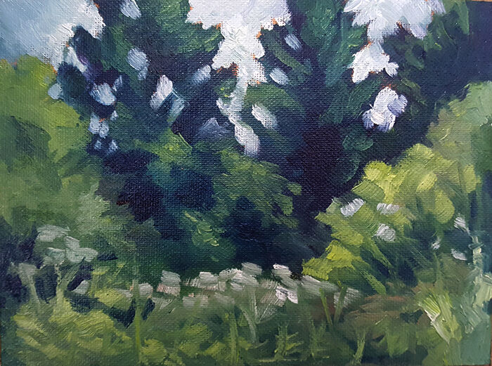 Pine Trees Study