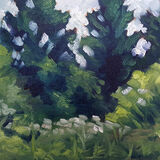 Pine Trees Study