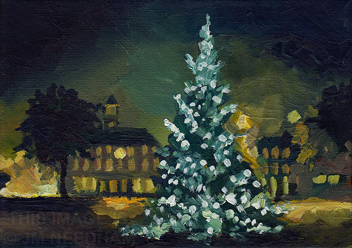 Christmas Tree, Broadway Gardens