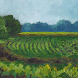 fields near hexton