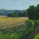 Fields, January Morning