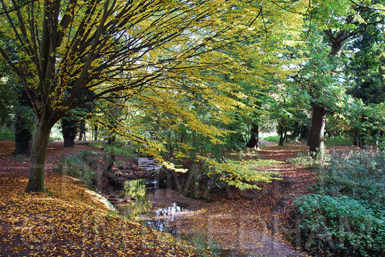 October Stream