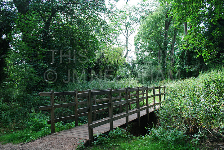 Wooden Bridge
