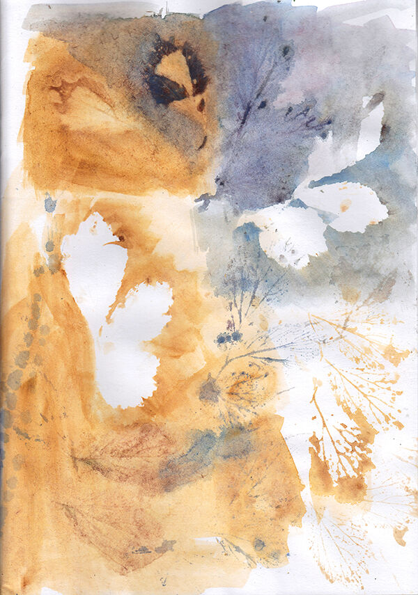 Leaf Explorations