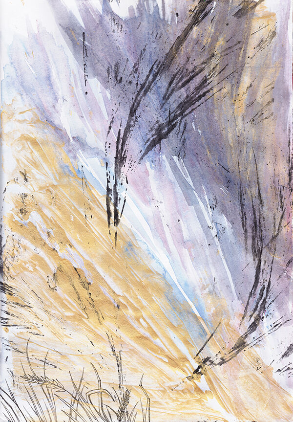 Grass Explorations