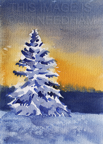 Snowy Tree At Sunset
