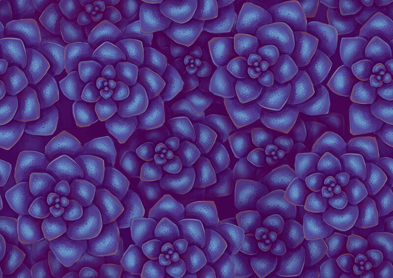 purple succulents