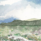 Grassy Landscape II