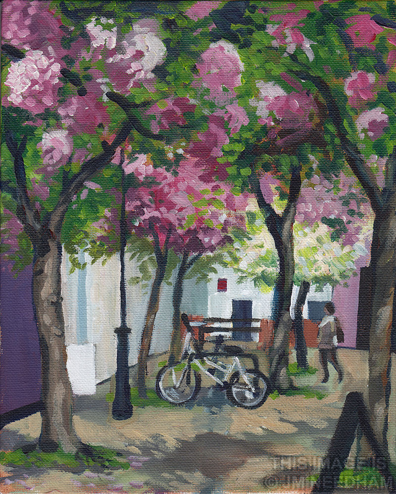 The Wynd in Spring 2