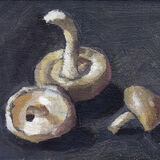 Trio of Shiitake Mushrooms