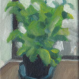 Tiny Basil Plant