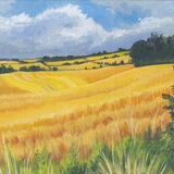 Golden Fields, Hitchin a painting of golden wheat fields in the sun, with hedgerows visible in the distance. there is a blue sky with puffy white clouds overhead, and a row of green grass and weeds in the foreground.