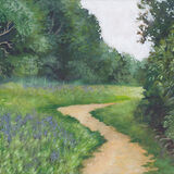 Panshanger Purples a footpath winding through a meadow, which has long grasses and purple flowers growing. trees line the sides of the path. the sky is white and overcast.