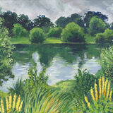 Lake with Yellow Flowers, Panshanger Park in the foreground, a vibrant green grassy bank with leafy plants and tall yellow flowers; beyond that, a calm lake, reflecting the green trees in the background, and the grey cloudy sky. just a few ripples break across the surface.