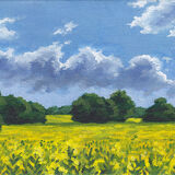 Yellow Field, Summer