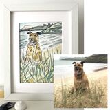 Pet Portrait