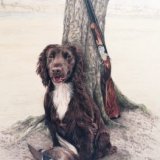 "My son thought you'd really captured Cassie and gave a comment about how he could tell it was his gun. He recognised the background too."
