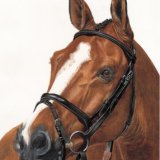 "An incredibly lifelike painting of my Drivetime!"
