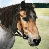 "This has turned out even better than I thought it would. My mum loves it and talks to the painting as though Tiger was really there."