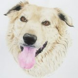 "I can't believe it; your painting looks so like Kobe, I don't know how you do it."