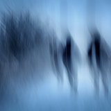 Cold walk Manesty