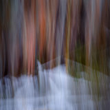 Dalt Wood Quarry