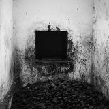 From  the  Darkness 3