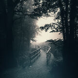 From  the  Darkness 4