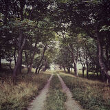 From  the  Darkness 6