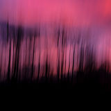 Llangoed Sunrise 1