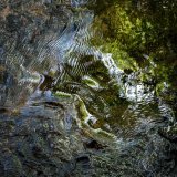 Llangoed Water