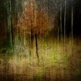 Llyn Dinas 033