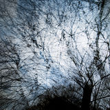 Llyn Dinas 4