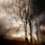 Llyn Dinas 3
