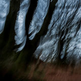 Llyn Dinas 001