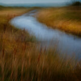 Malltraeth Marsh