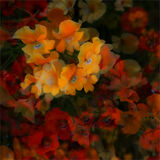 Multi Flowers 09