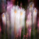 Multi & ICM June-36