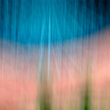 Portmeirion 8