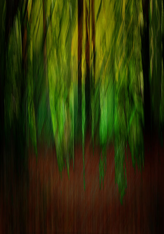 Silent Sentinels