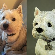 Scooby Westie, Commission 2019