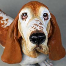Trevor Basset, commission 2019