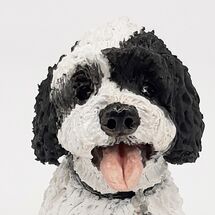 Duke, Commission 2020