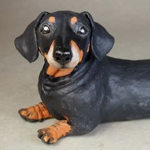 Poppy Dachshund, commission 2019