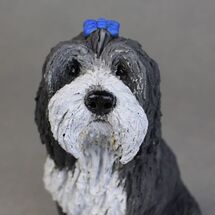Rory Bearded Collie, commission 2020
