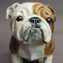 British Bulldog, 2017