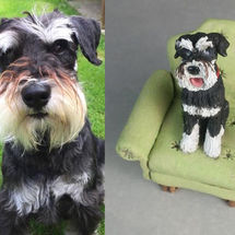Milo On Chair, Commission 2018