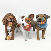 Summer Pups - 2023