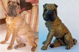Archie, Shar Pei Commission 2010