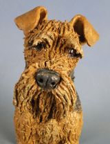 Airedale 2012